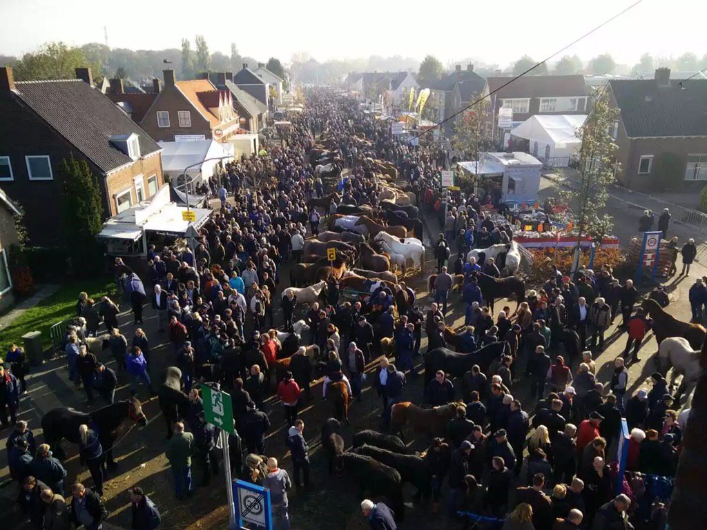 paardenmarkt